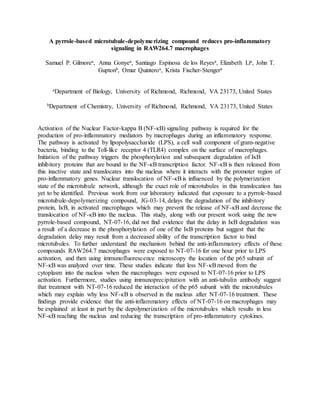 A pyrrole-based microtubule-depolymerizing compound reduces pro-inflammatory
signaling in RAW264.7 macrophages
Samuel P. Gilmorea, Anna Gonyea, Santiago Espinosa de los Reyesa, Elizabeth Lia, John T.
Guptonb, Omar Quinteroa, Krista Fischer-Stengera
aDepartment of Biology, University of Richmond, Richmond, VA 23173, United States
bDepartment of Chemistry, University of Richmond, Richmond, VA 23173, United States
Activation of the Nuclear Factor-kappa B (NF-κB) signaling pathway is required for the
production of pro-inflammatory mediators by macrophages during an inflammatory response.
The pathway is activated by lipopolysaccharide (LPS), a cell wall component of gram-negative
bacteria, binding to the Toll-like receptor 4 (TLR4) complex on the surface of macrophages.
Initiation of the pathway triggers the phosphorylation and subsequent degradation of IκB
inhibitory proteins that are bound to the NF-κB transcription factor. NF-κB is then released from
this inactive state and translocates into the nucleus where it interacts with the promoter region of
pro-inflammatory genes. Nuclear translocation of NF-κBis influenced by the polymerization
state of the microtubule network, although the exact role of microtubules in this translocation has
yet to be identified. Previous work from our laboratory indicated that exposure to a pyrrole-based
microtubule-depolymerizing compound, JG-03-14, delays the degradation of the inhibitory
protein, IκB, in activated macrophages which may prevent the release of NF-κB and decrease the
translocation of NF-κB into the nucleus. This study, along with our present work using the new
pyrrole-based compound, NT-07-16, did not find evidence that the delay in IκB degradation was
a result of a decrease in the phosphorylation of one of the IκB proteins but suggest that the
degradation delay may result from a decreased ability of the transcription factor to bind
microtubules. To further understand the mechanism behind the anti-inflammatory effects of these
compounds RAW264.7 macrophages were exposed to NT-07-16 for one hour prior to LPS
activation, and then using immunofluorescence microscopy the location of the p65 subunit of
NF-κB was analyzed over time. These studies indicate that less NF-κBmoved from the
cytoplasm into the nucleus when the macrophages were exposed to NT-07-16 prior to LPS
activation. Furthermore, studies using immunoprecipitation with an anti-tubulin antibody suggest
that treatment with NT-07-16 reduced the interaction of the p65 subunit with the microtubules
which may explain why less NF-κB is observed in the nucleus after NT-07-16 treatment. These
findings provide evidence that the anti-inflammatory effects of NT-07-16 on macrophages may
be explained at least in part by the depolymerization of the microtubules which results in less
NF-κB reaching the nucleus and reducing the transcription of pro-inflammatory cytokines.
 