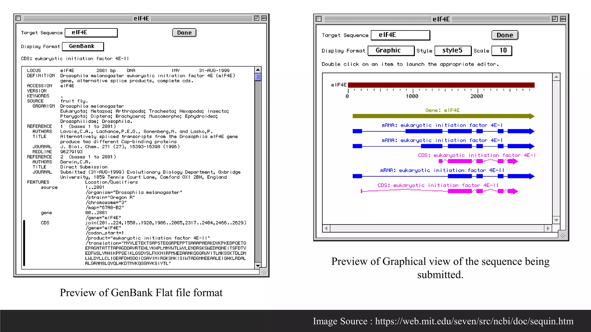 Preview of GenBank Flat file format
Preview of Graphical view of the sequence being
submitted.
Image Source : https://web.mit.edu/seven/src/ncbi/doc/sequin.htm
 