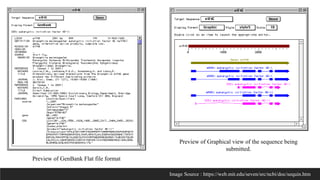 Preview of GenBank Flat file format
Preview of Graphical view of the sequence being
submitted.
Image Source : https://web.mit.edu/seven/src/ncbi/doc/sequin.htm
 