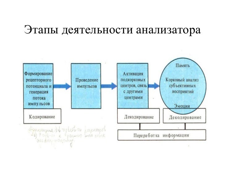 Схема анализатора