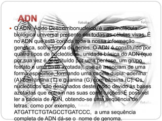 O ADN, Ácido Desoxirribonucleico, é uma molécula
biológica universal presente em todas as células vivas. É
no ADN que está contida toda a nossa informação
genética, sob a forma de genes. O ADN é constituído por
quatro tipos de nucleótidos , unidade básica do ADN (que
por sua vez é constituído por uma pentose, um grupo
fosfato e uma base azotada), que se associam de uma
forma específica, formando uma cadeia dupla: adenina
(A) com timina (T) e guanina (G) com citosina (C). Os
nucleótidos são designados deste modo devido às bases
azotadas que entram nas suas constituições. É possível
ler a cadeia de ADN, obtendo-se uma sequência de
letras, como por exemplo,
ATGATTCTGTAGCCTGATCCC, a uma sequência
completa de ADN dá-se o nome de genoma.
 