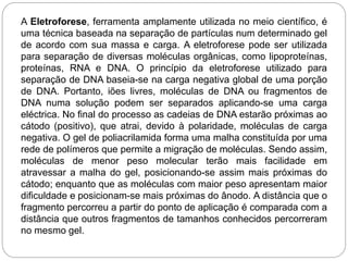A Eletroforese, ferramenta amplamente utilizada no meio científico, é
uma técnica baseada na separação de partículas num determinado gel
de acordo com sua massa e carga. A eletroforese pode ser utilizada
para separação de diversas moléculas orgânicas, como lipoproteínas,
proteínas, RNA e DNA. O princípio da eletroforese utilizado para
separação de DNA baseia-se na carga negativa global de uma porção
de DNA. Portanto, iões livres, moléculas de DNA ou fragmentos de
DNA numa solução podem ser separados aplicando-se uma carga
eléctrica. No final do processo as cadeias de DNA estarão próximas ao
cátodo (positivo), que atrai, devido à polaridade, moléculas de carga
negativa. O gel de poliacrilamida forma uma malha constituída por uma
rede de polímeros que permite a migração de moléculas. Sendo assim,
moléculas de menor peso molecular terão mais facilidade em
atravessar a malha do gel, posicionando-se assim mais próximas do
cátodo; enquanto que as moléculas com maior peso apresentam maior
dificuldade e posicionam-se mais próximas do ânodo. A distância que o
fragmento percorreu a partir do ponto de aplicação é comparada com a
distância que outros fragmentos de tamanhos conhecidos percorreram
no mesmo gel.
 