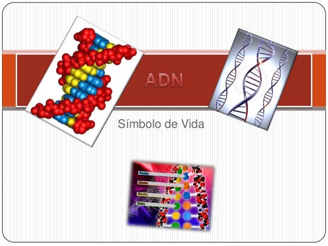 Símbolo de Vida
 