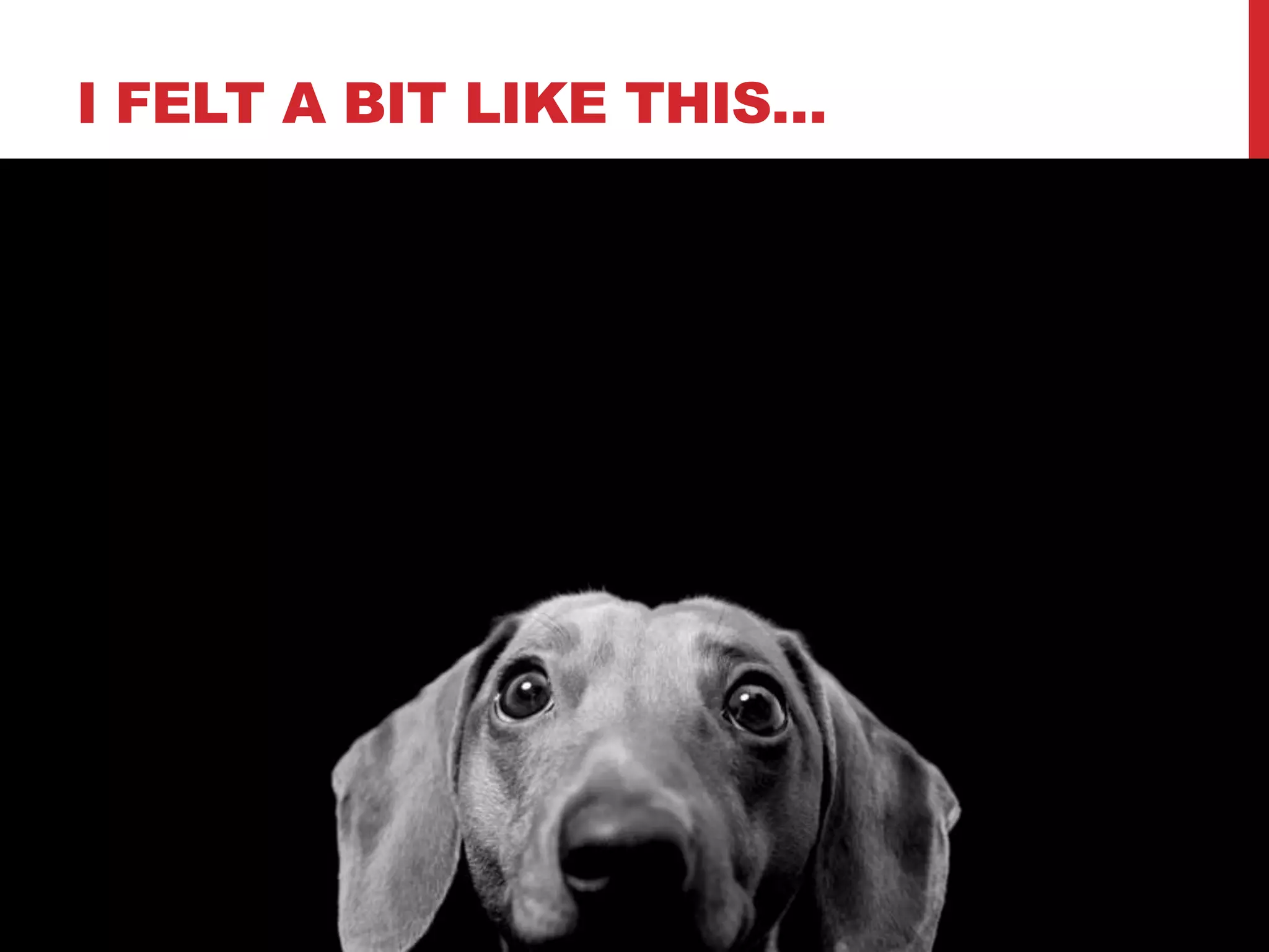 I FELT A BIT LIKE THIS…
 