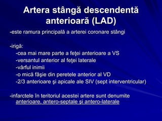 Artera stângă descendentă
anterioară (LAD)
-este ramura principală a arterei coronare stângi
-irigă:
-cea mai mare parte a feţei anterioare a VS
-versantul anterior al feţei laterale
-vârful inimii
-o mică fâşie din peretele anterior al VD
-2/3 anterioare şi apicale ale SIV (sept interventricular)
-infarctele în teritoriul acestei artere sunt denumite
anterioare, antero-septale şi antero-laterale
 