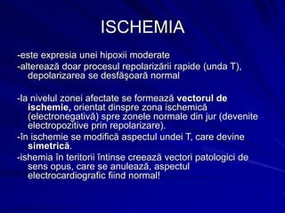 ISCHEMIA
-este expresia unei hipoxii moderate
-alterează doar procesul repolarizării rapide (unda T),
depolarizarea se desfăşoară normal
-la nivelul zonei afectate se formează vectorul de
ischemie, orientat dinspre zona ischemică
(electronegativă) spre zonele normale din jur (devenite
electropozitive prin repolarizare).
-în ischemie se modifică aspectul undei T, care devine
simetrică.
-ishemia în teritorii întinse creează vectori patologici de
sens opus, care se anulează, aspectul
electrocardiografic fiind normal!
 