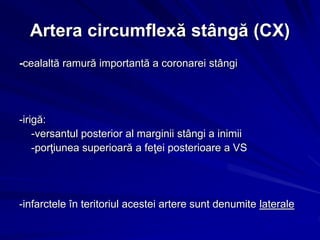 Artera circumflexă stângă (CX)
-cealaltă ramură importantă a coronarei stângi
-irigă:
-versantul posterior al marginii stângi a inimii
-porţiunea superioară a feţei posterioare a VS
-infarctele în teritoriul acestei artere sunt denumite laterale
 