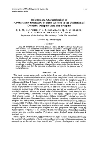 Journal of General Microbiology (1976), 96,155-163                                           I55
Printed in Great Britain



                 Isolation and Characterization of
  Agrobacterium tumefaciens Mutants Affected in the Utilization of
              Octopine, Octopinic Acid and Lysopine
     B y P . M . K L A P W I J K , P. J. J. H O O Y K A A S , H . C. M. K E S T E R ,
                   R . A. S C H I L P E R O O R T A N D A. R O R S C H
            Department o Biochemistry, The University, Leiden, The Netherlands
                        f

                                   (Received 23 February 1976)

                                             SUMMARY
        Using an enrichment procedure, mutant strains of Agrobacterium tumefaciens
     were isolated that lacked the ability to utilize octopine as a nitrogen source. Of 55
     such isolates, 44 were unable to utilize several amino acids; the remaining 1 1
     strains were altered solely in their ability to utilize octopine, octopinic acid and
     lysopine. It is concluded that only the latter were plasmid mutations. Among them,
     there was a high, but no absolute, correlation with avirulence. All strains contained
     the TI plasmid. All virulent strains showed active transport of octopine when they
     had previously been grown in medium containing octopine, whereas the avirulent
     strains failed to show such transport. All the virulent mutants induced tumours
     containing octopine. The results are discussed in relation to the hypothesis that the
     genes which code for the octopine synthesizing enzymes in the tumour are of
     bacterial origin.

                                          INTRODUCTION
   The plant tumour, crown gall, can be induced on many dicotyledonous plants after
wounding and subsequent infection with Agrobacterium tumefaciens (Smith and Townsend)
Conn. The molecular mechanism by which the bacteria evoke the neoplastic growth is
still uncertain (Drlica & Kado, 1975 ; Lippincott & Lippincott, 1975 ; Schilperoort & Bom-
hoff, 1975). Tissue culture of bacterium-free tumour tissues has shown that it is charac-
terized by phytohormone-independent growth. In addition, several reports have shown the
presence in tumour tissue of the unusual amino-acid derivatives octopine (N2-(D- I -carb-
oxyethy1)-L-arginine: Mknagk & Morel, I 964 ; Goldmann-Mknagk, 1970), octopinic acid
(N2-(D-I-carboxyethyl)-L-ornithine Mknagk & Morel, 1965), sopine (N2-(D-I-Carboxy-
                                     :
ethyl)-L-lysine : Lioret, 1956 ; Biemann et al., 1960) and nopaline (N2-(1,3-dicarboxypropyl)-
L-arginine :Goldmann, Thomas & Morel, I 969). Tumours containing octopine also contain
octopinic acid and lysopine, whereas nopaline tumours contain only nopaline (Goldmann-
Mknagk, 1970). Whether octopine or nopaline is present depends on which bacterial strain
induced the tumour. Agrobacterium tumefaciens strains which induce tumours containing
octopine are able to utilize octopine, octopinic acid and lysopine as a nitrogen source, by
degrading these compounds to the amino acids and pyruvate ; strains which induce nopaline
tumours are able to utilize nopaline (Petit et al., 1970; Bomhoff, 1974; Schilperoort &
Bomhoff, 1975).
   Recent reports (Watson et al., 1975 ; Bomhoff et al., 1976) indicate that genes determining
the specificity of degradation of these amino-acid derivatives, as well as genes necessary for
oncogenicity, are located on a large plasmid, the TI plasmid, that is present in all virulent
 