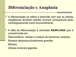 Diferenciação e Anaplasia
 A diferenciação se refere à extensão com que as células
neoplásicas lembram células normais comparáveis tanto
morfologicamente como funcionalmente.
 A falta de diferenciação é chamada ANAPLASIA que é
caracterizada por:
- Pleomorfismo: células e núcleos de tamanhos variados.
- Núcleos desproporcionalmente grandes.
- Mitoses.
- Células tumorais gigantes.
 
