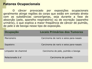 Fatores Ocupacionais
O câncer provocado por exposições ocupacionais
geralmente atinge regiões do corpo que estão em contato direto
com as substâncias cancerígenas, seja durante a fase de
absorção (pele, aparelho respiratório) ou de excreção (aparelho
urinário), o que explica a maior freqüência de câncer de pulmão,
de pele e de bexiga nesse tipo de exposição.
Ocupação Locais Primários dos Tumores
Marceneiro Carcinoma de nariz e seios para-nasais
Sapateiro Carcinoma de nariz e seios para-nasais
Limpador de chaminé Carcinoma de pele, pulmão e bexiga
Relacionada à sí Carcinoma de pulmão
 