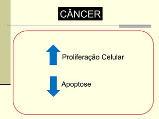 CÂNCER
Proliferação Celular
Apoptose
 