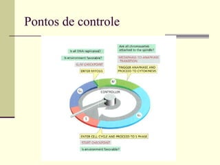 Pontos de controle
 