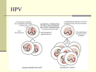HPV
 