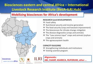 Under-research crops and livestock as key contributors to food security in Africa