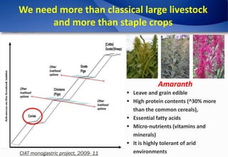 Under-research crops and livestock as key contributors to food security in Africa