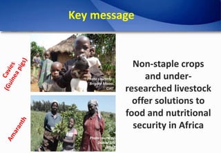 Under-research crops and livestock as key contributors to food security in Africa