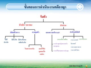 ขั้นตอนการดาเนินงานคดีอาญา
                                                   รับตัว
                      ตัวเด็ก / เยาวชน                                           สานวน

          ปล่อยชั่วคราว                ควบคุมตัว             เสนอความเห็น ม.63                  ดาเนินคดีปกติ

 ไม่ มี     มีประกัน มีประกันและ                                           รายงานสิ่ งแวดล้อม    รายงานแพทย์ รายงานจาแนก
ประกัน               หลักประกัน
                                                                      การประชุมกลุ่มครอบครัว      จิตแพทย์
                                                                      และชุมชน                    รายงานสุ ขภาพกาย
                              ในสถานแรกรับ     มอบไว้ กบ ั
                                                                      การแก้ไขตามผลการประชุ ม     รายงานจิตวิทยา
                                               บุคคลหรือ
                                                 องค์ กร




                                                                                                www.djop.moj.go.th
 