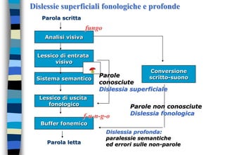 Dislessie superficiali fonologiche e profonde
Lessico di entrata
visivo
Analisi visiva
Sistema semantico
Lessico di uscita
fonologico
Buffer fonemico
Conversione
scritto-suono
Parola letta
Parola scritta
Parole
conosciute
Dislessia superficiale
Parole non conosciute
Dislessia fonologica
Dislessia profonda:
paralessie semantiche
ed errori sulle non-parole
fungo
f-u-n-g-o
 
