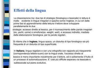 Effetti della lingua
La dissociazione tra i due tipi di strategia (fonologica e lessicale) in lettura è
molto evidente in lingue irregolari e opache come l’inglese, in cui sin dalle
prime fasi di apprendimento della lettura il lettore deve sviluppare
parallelamente le due
strategie: accesso diretto al lessico, per il riconoscimento delle parole irregolari
(es. yacht, come) o omofone(es. weight, wait), e accesso indiretto, mediato
dalla elaborazione fonologica, per le parole regolari.
Si ritiene che in Inglese, lingua opaca, un disturbo di tipo fonologico sia più
frequente di un disturbo di tipo superficiale.
In Italiano, lingua regolare e con una ortografia con rapporto più trasparente
(corrispondenza lettere-suoni) con la lingua orale, l’accesso diretto al
lessico è meno importante inizialmente per il lettore, ed è solitamente il frutto di
un processo di automatizzazione. E’ cioè più difficile separare via lessicale e
sublessicale sul piano evolutivo.
 