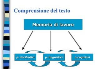 Comprensione del testo
p. decifrativi p. linguistici p.cognitivi
Memoria di lavoro
 