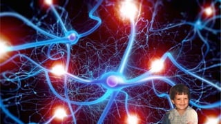 © 2007-2017 WiderFunnel Marketing Inc.
Tweet to: @chrisgoward #Awesome
 