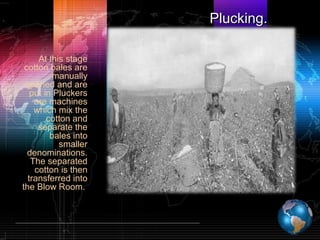Plucking.Plucking.
At this stage
cotton bales are
manually
opened and are
put in Pluckers
are machines
which mix the
cotton and
separate the
bales into
smaller
denominations.
The separated
cotton is then
transferred into
the Blow Room.
 