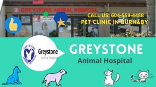 GREYSTONE ANIMAL HOSPITAL at North Burnaby 