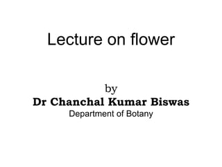 Lecture on flower
by
Dr Chanchal Kumar Biswas
Department of Botany
 