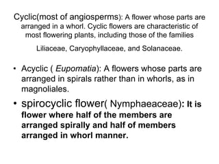 Spirocyclic Flower Biology-Lecture on FLOWER by chanchal.ppt
