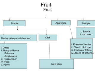 Comprehensive Botanical Lecture on Types and Classification of Fruits | PPT