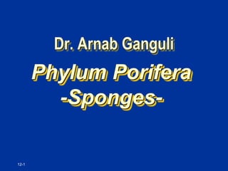 12-1
Dr. Arnab Ganguli
Phylum Porifera
-Sponges-
 