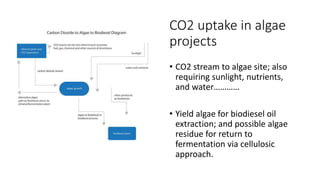 CO2 uptake in algae
projects
• CO2 stream to algae site; also
requiring sunlight, nutrients,
and water…………
• Yield algae for biodiesel oil
extraction; and possible algae
residue for return to
fermentation via cellulosic
approach.
 