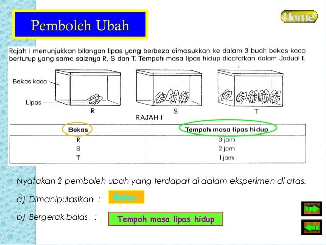 15663555 sains-bahagian-b-upsr-teknik-menjawab