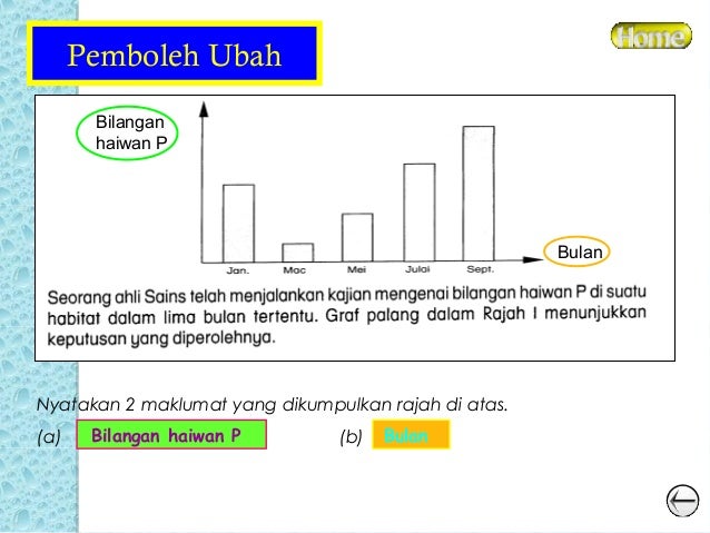 15663555 sains-bahagian-b-upsr-teknik-menjawab