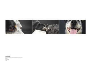 Ich rieche dich
Werbespot Rettungshundestaffel Deutsches Rotes
Kreuz
00:30 min
2014
 