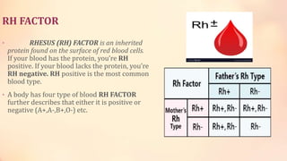 1569612387419 physiology[1] | PPTX