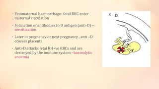 1569612387419 physiology[1] | PPTX