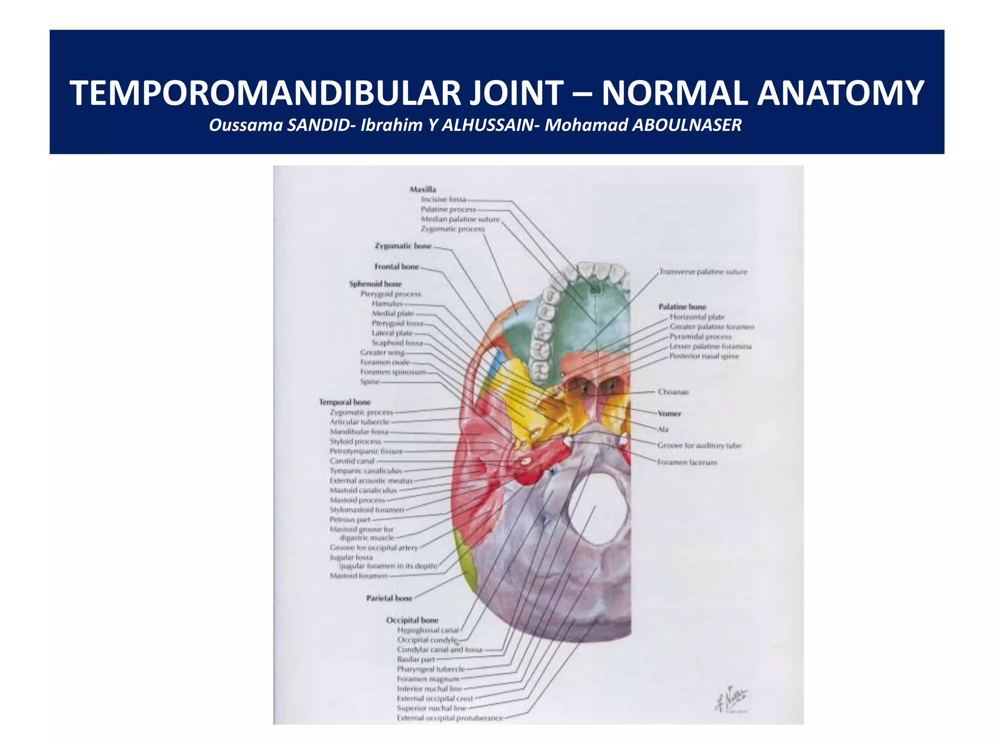 157 temporomandibular joint-tmj- anatomy | PDF