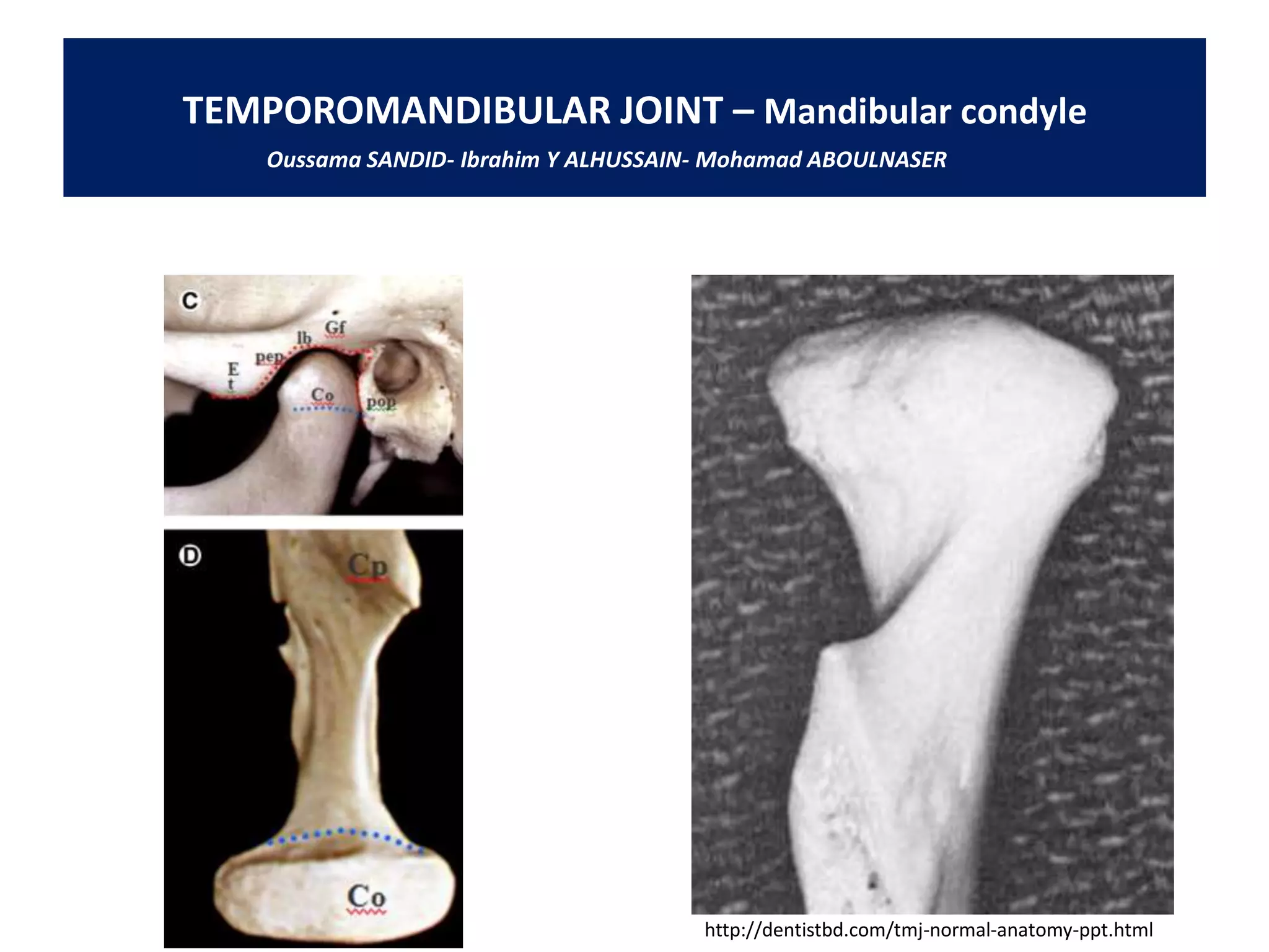 157 temporomandibular joint-tmj- anatomy mechanichs | PDF