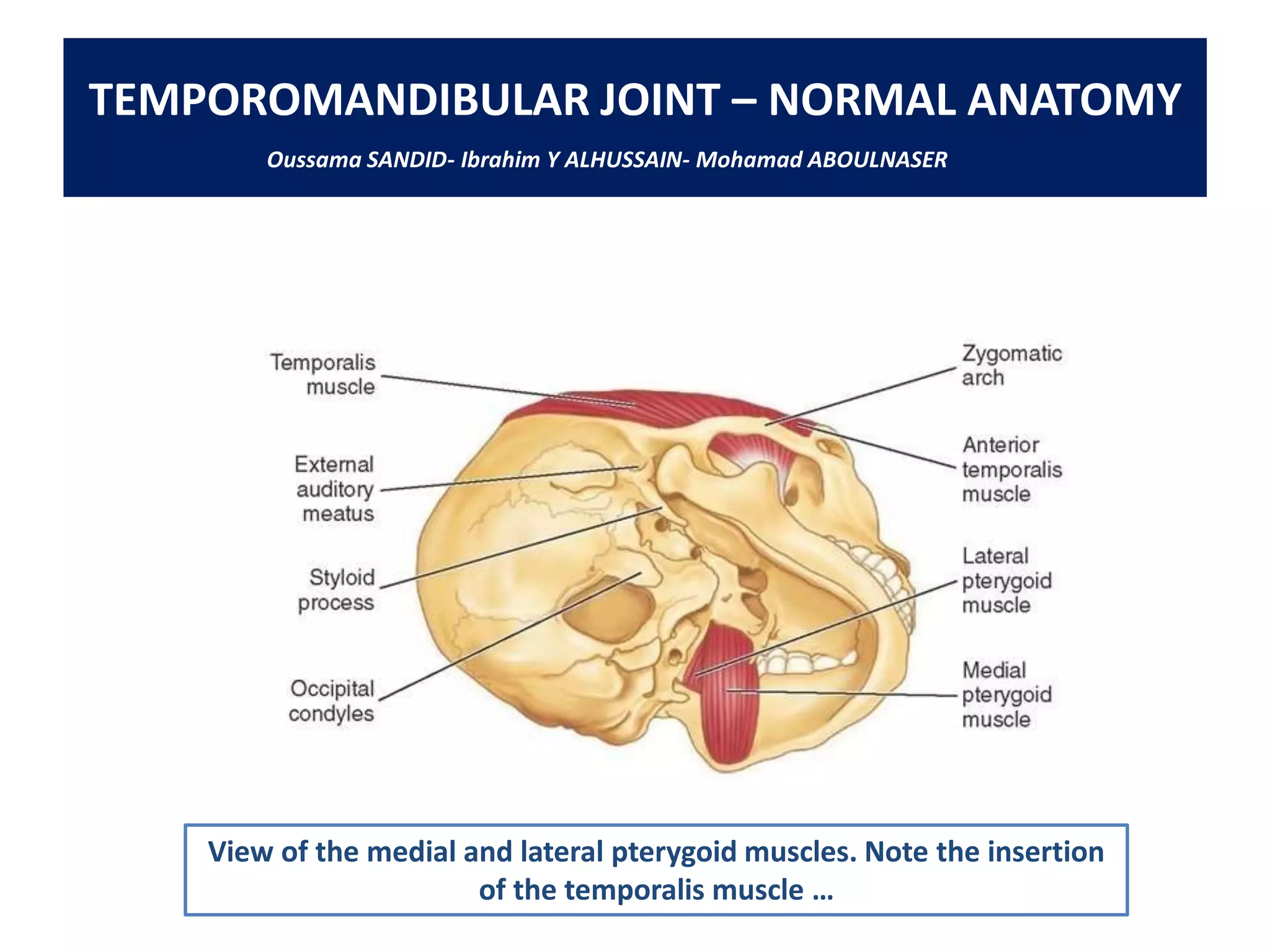 Tm Ray 157 temporomandibular joint-tmj- anatomy mechanichs | PDF