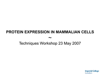 PROTEIN EXPRESSION IN MAMMALIAN CELLS
~
Techniques Workshop 23 May 2007
 