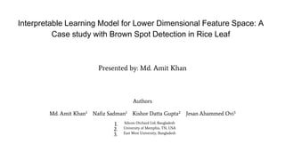 Interpretable Learning Model for Lower Dimensional Feature Space: A
Case study with Brown Spot Detection in Rice Leaf
Presented by: Md. Amit Khan
Authors
Md. Amit Khan1 Nafiz Sadman1 Kishor Datta Gupta2 Jesan Ahammed Ovi3
1. Silicon Orchard Ltd, Bangladesh
2. University of Memphis, TN, USA
3. East West University, Bangladesh
 