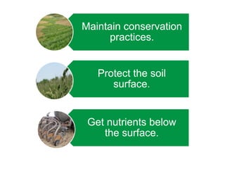 Maintain conservation
practices.
Get nutrients below
the surface.
Protect the soil
surface.
 