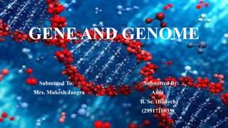 GENE AND GENOME
Submitted To: Submitted By:
Mrs. Mukesh Jangra Amit
B. Sc. (Biotech)
(2991710035)
 