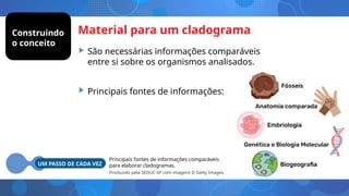 Material para um cladograma
• São necessárias informações comparáveis
entre si sobre os organismos analisados.
• Principais fontes de informações:
UM PASSO DE CADA VEZ
Principais fontes de informações comparáveis
para elaborar cladogramas.
Produzido pela SEDUC-SP com imagens © Getty Images.
Construindo
o conceito
 