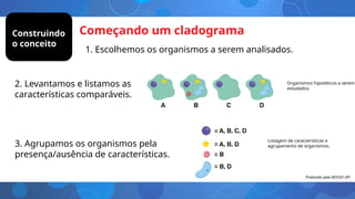 Começando um cladograma
1. Escolhemos os organismos a serem analisados.
Organismos hipotéticos a serem
estudados.
Listagem de características e
agrupamento de organismos.
2. Levantamos e listamos as
características comparáveis.
3. Agrupamos os organismos pela
presença/ausência de características.
Construindo
o conceito
Produzido pela SEDUC-SP.
 