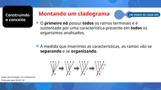 Montando um cladograma
• O primeiro nó possui todos os ramos terminais e é
sustentado por uma característica presente em todos os
organismos analisados.
• À medida que inserimos as características, os ramos vão se
separando e se organizando.
Etapas da montagem do cladograma.
Produzido pela SEDUC-SP
Construindo
o conceito
UM PASSO DE CADA VEZ
 