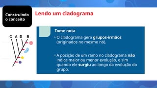 Lendo um cladograma
Tome nota
• O cladograma gera grupos-irmãos
(originados no mesmo nó).
• A posição de um ramo no cladograma não
indica maior ou menor evolução, e sim
quando ele surgiu ao longo da evolução do
grupo.
Construindo
o conceito
 
