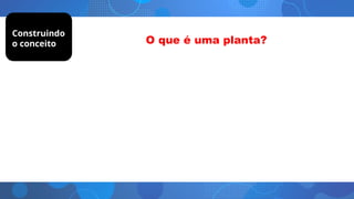Construindo
o conceito
 