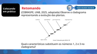 Retomando
(CEBRASPE, UNB, 2025, adaptada) Observe o cladograma
representando a evolução das plantas.
Quais características substituem os números 1, 2 e 3 no
cladograma?
TODO MUNDO ESCREVE
Fonte: Produzido pela SEDUC-SP
Colocando
em prática
 